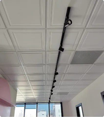 Decorative raised-panel ceiling tiles with track lighting